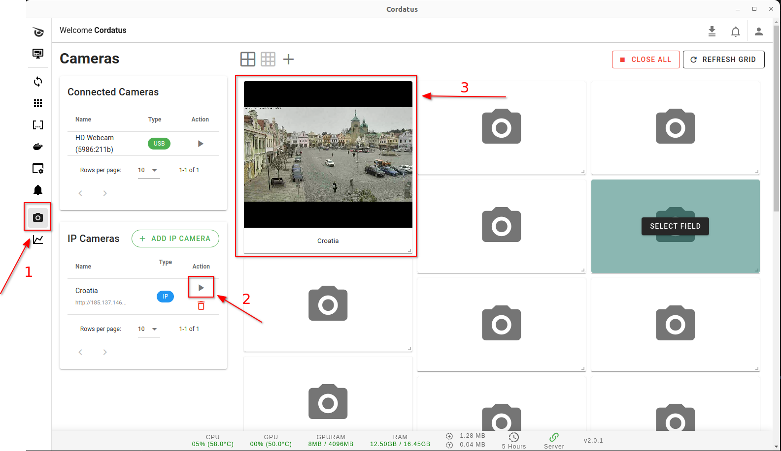 Open IP Cam on Client